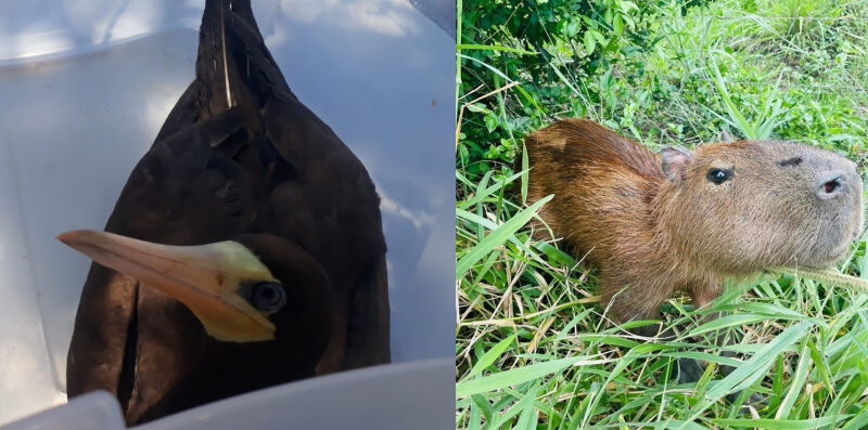 ae490490adff4f695d8831b6d20b97cf XL