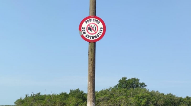 e2ead9c1349a48396463990fe7b55a21 XL