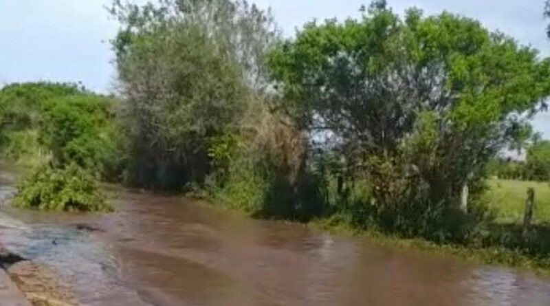 with 192160 Easy Resize.com