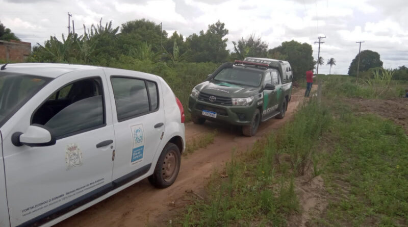 49d777cdd477e76dea7b279017b034de XL