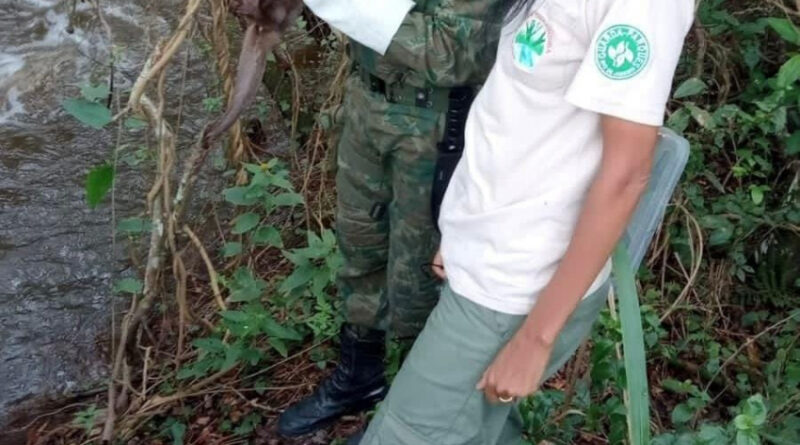 8d967de4fb0deac392e6fc1838a87d15 XL