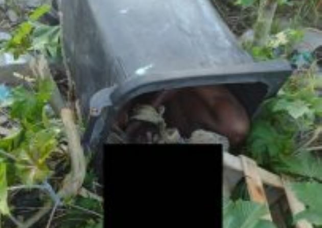 552864aa 0af4 4b06 96c6 3e02622f7791 203x360 1