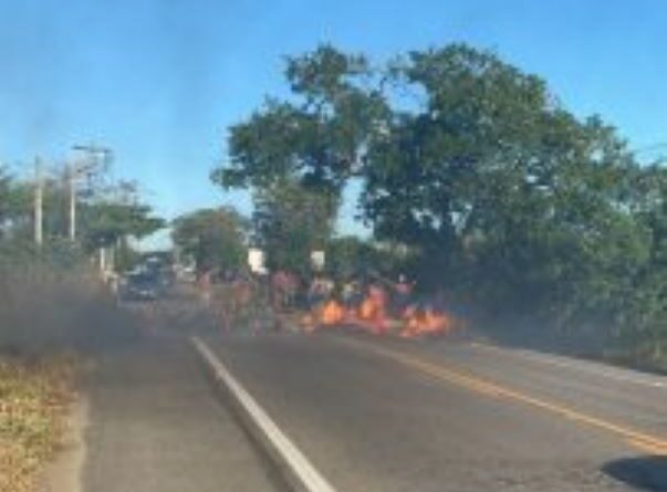 WhatsApp Image 2022 03 16 at 16.28.07 1 203x360 1