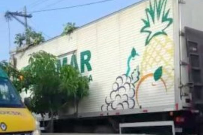 WhatsApp Image 2022 03 30 at 08.38.08 270x360 1