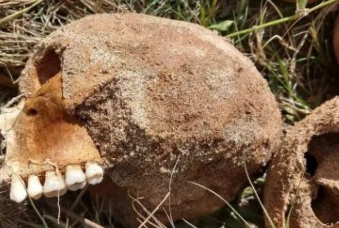 WhatsApp Image 2022 04 19 at 10.47.51 1 360x360 1