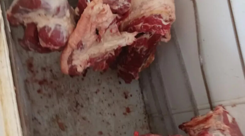 whatsapp image 2022 04 04 at 14.24.43 Easy Resize.com