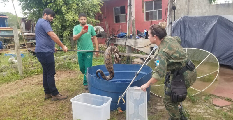 2e79051f535b06583dfeaa47b4b5b74c XL