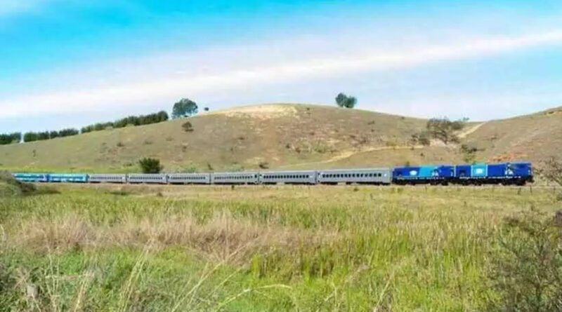 trem com vagoes passando no meio de uma plantacao 1 36487 Easy Resize.com