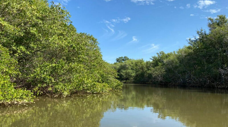 0d4be46703e4caec7901c928d2f5e122 XL Easy Resize.com