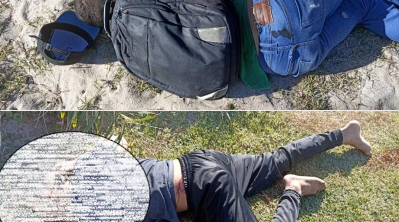 e4935c48 aa44 40d7 af3e 04c0d21319da