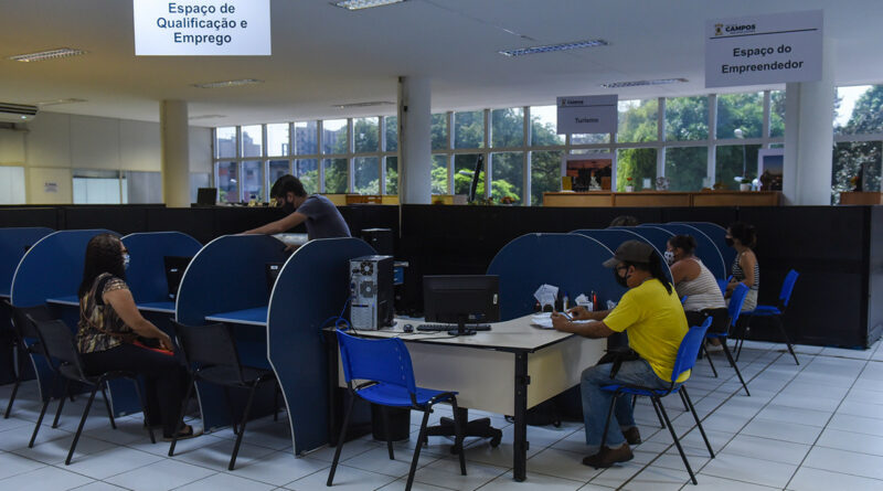 trabalho e renda campos