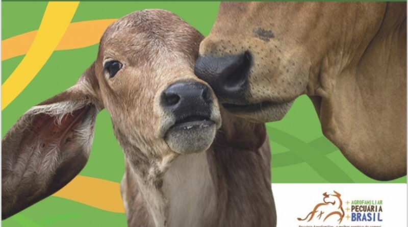 01eec10693d9896b4d757174d0f20dd9 XL