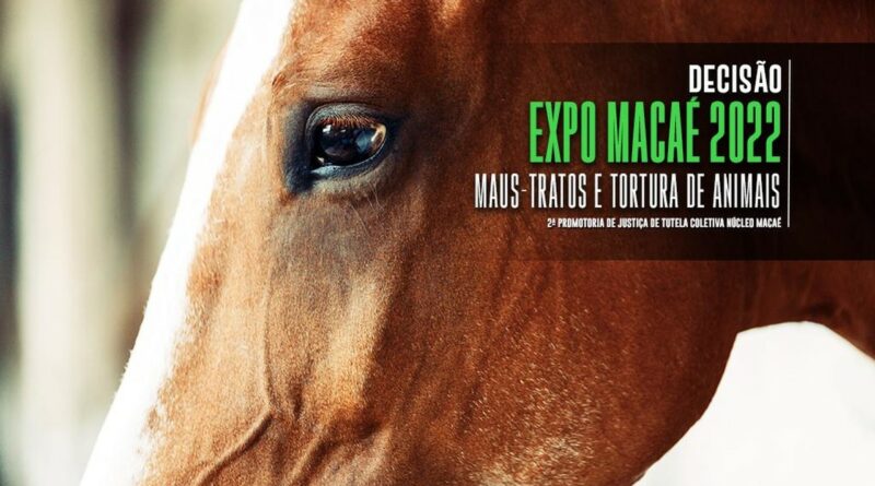 upload 00033380 Easy Resize.com