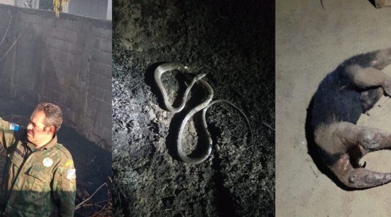 6111134b69b9dcb9c953bb227317f7fc XL Easy Resize.com