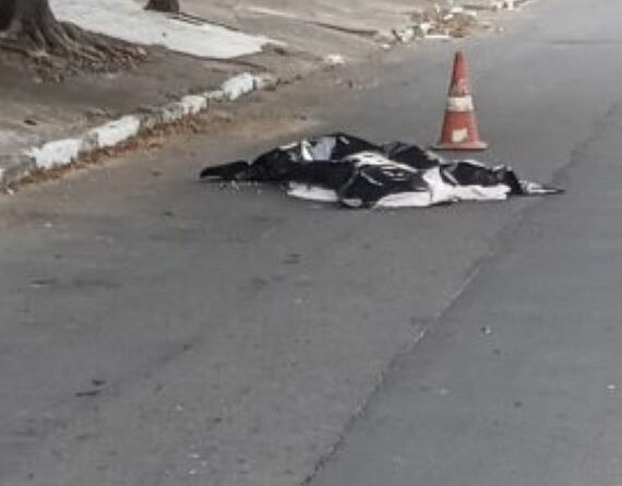 WhatsApp Image 2022 08 06 at 18.07.56 270x360 1