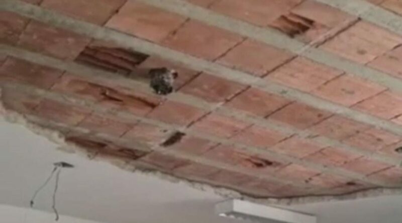 WhatsApp Image 2022 08 11 at 17.28.14