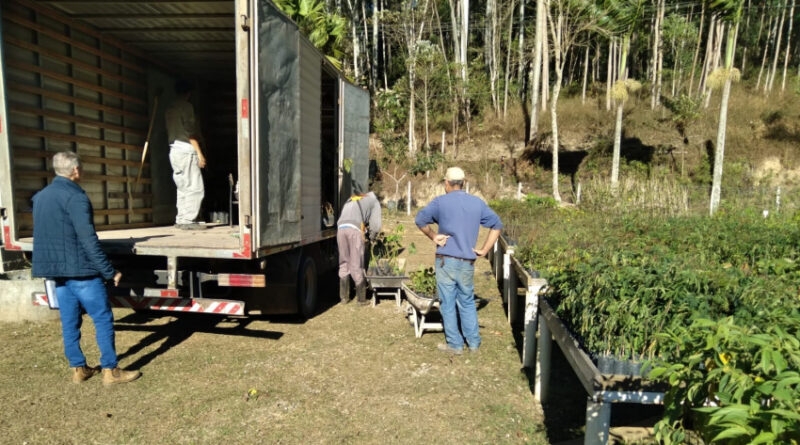 f8ea1c7aff521bedaac5eab4cbe3ce1e XL