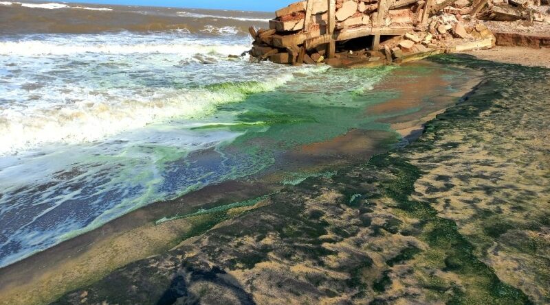 13223 img 20220908 wa0297