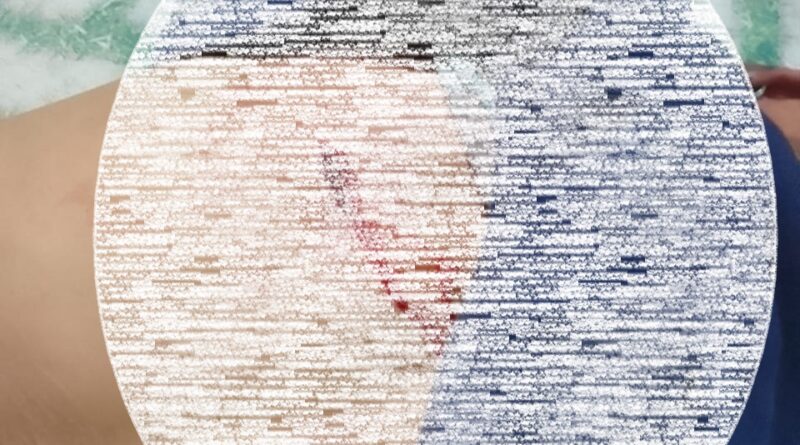 82270d17 386c 4a7e abff 9f49a1b94cf2