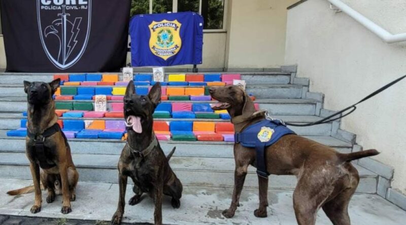 WhatsApp Image 2022 09 09 at 14.43.44