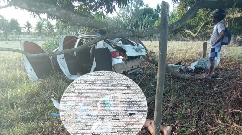 WhatsApp Image 2022 09 19 at 08.00.44