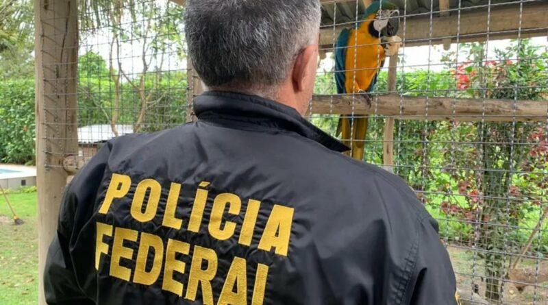 arara Easy Resize.com