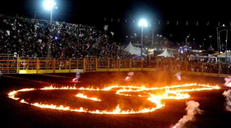 b80ea3ea38e44cb9b41c65c79ffde000 XL