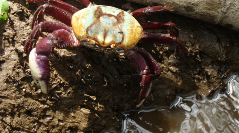 f2cd3ea2fa74205369dfcf9169ee1dae XL