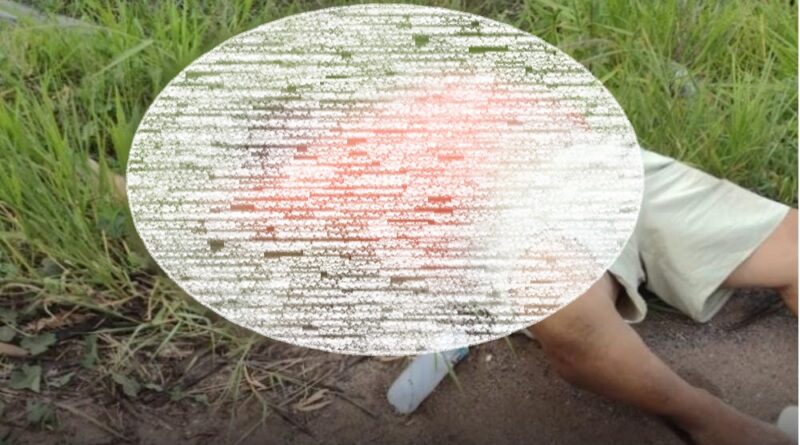 0111da49 56f9 4652 8d1b 48ba9f0f340b