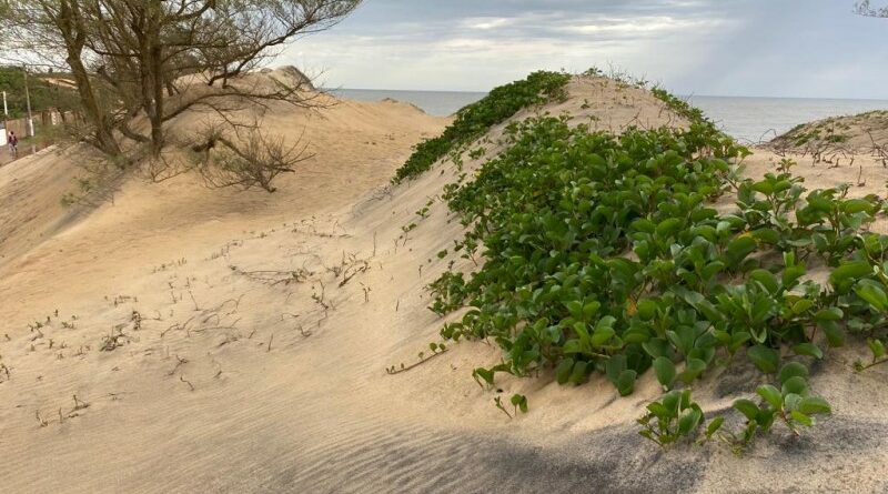 13381 whatsapp image 2022 11 10 at 12.13.45 1