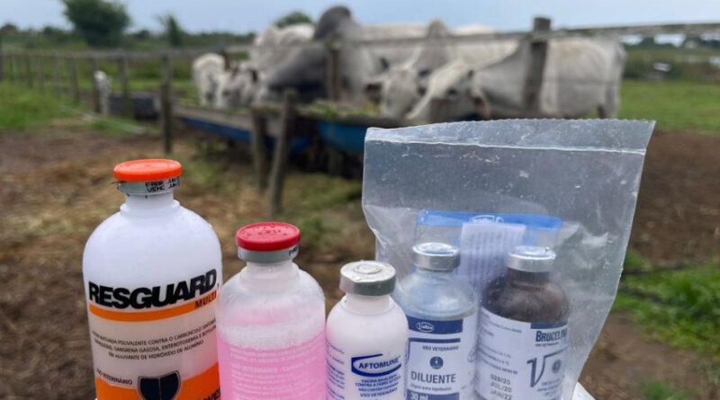 7d13cc638b031f8ce1bae1b0204ae77c XL