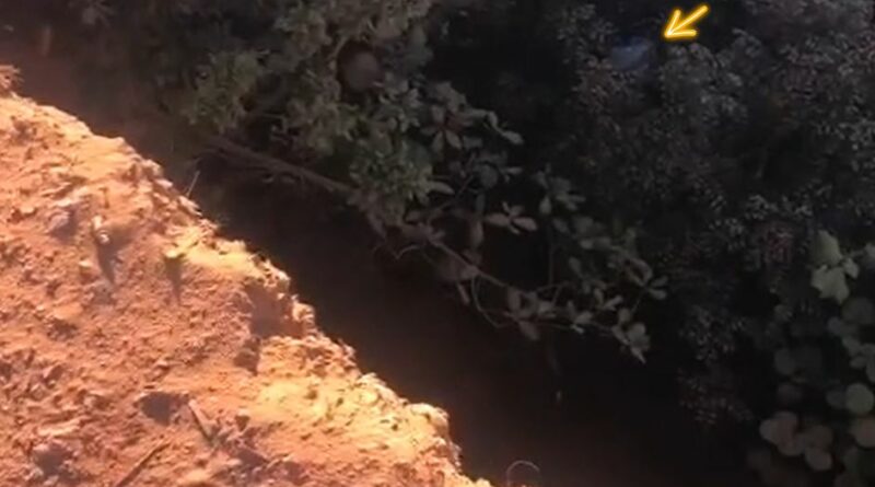 Chapadao PIPA Turista