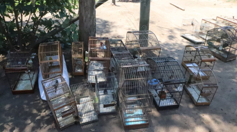 dcca011eac737955750c5f2f4e56b627 XL