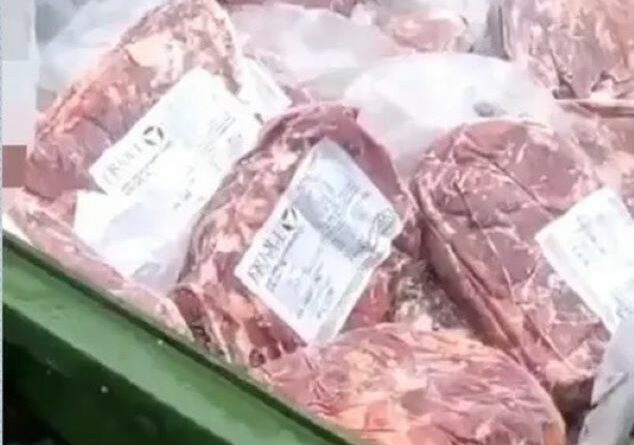 es1 reg pgm novembro 04 11 carne.mov snapshot 01.50.307 Easy Resize.com