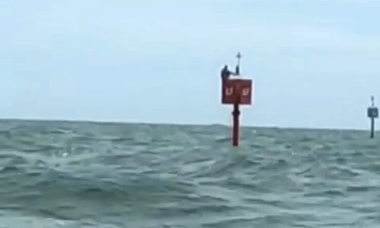 1f56073b def3 43c1 896b 5c5659e0417e