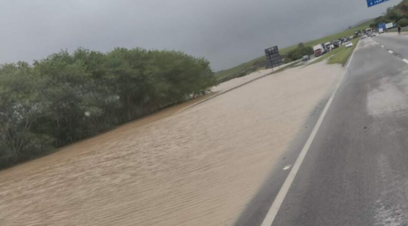 WhatsApp Image 2022 12 02 at 10.22.19