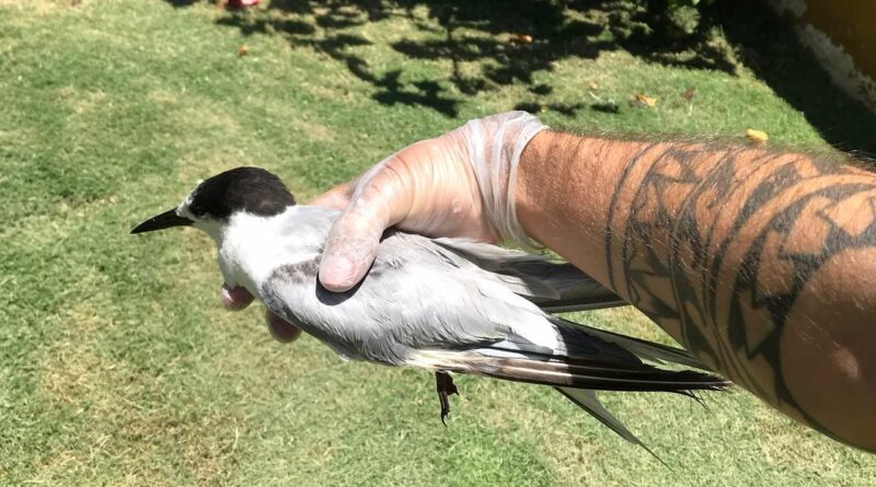 17e9f9d1e7b844d8a565abfbd854b85a Easy Resize.com