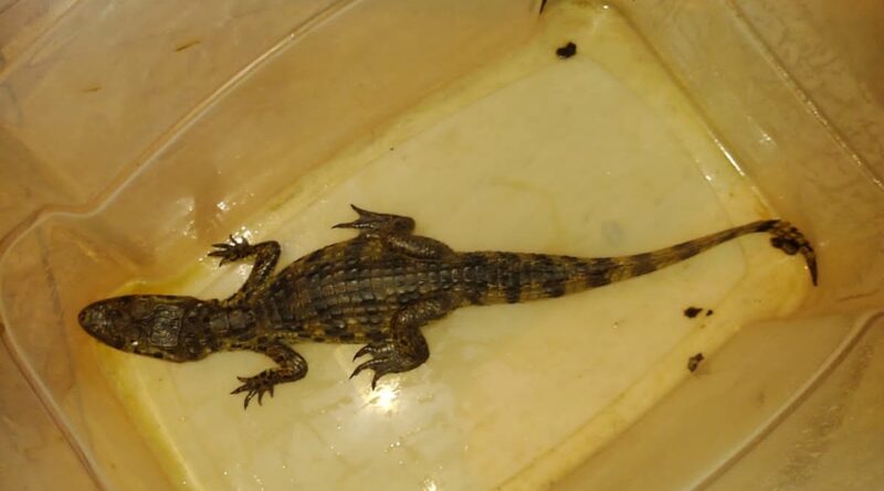 WhatsApp Image 2023 02 17 at 08.55.17 Easy Resize.com