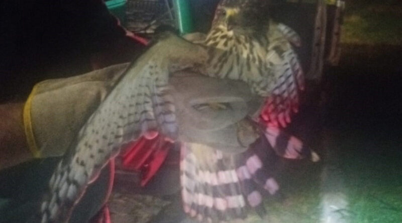 with 210367 Easy Resize.com