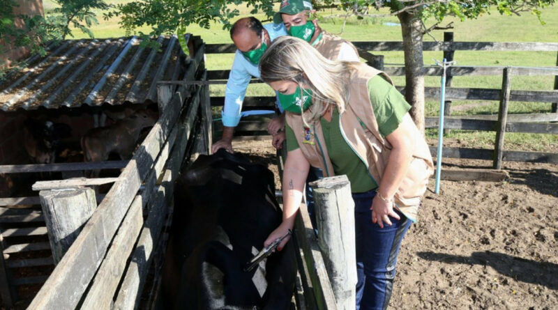 a868dc64f170dbf0996ef66cc77d4331 XL Easy Resize.com