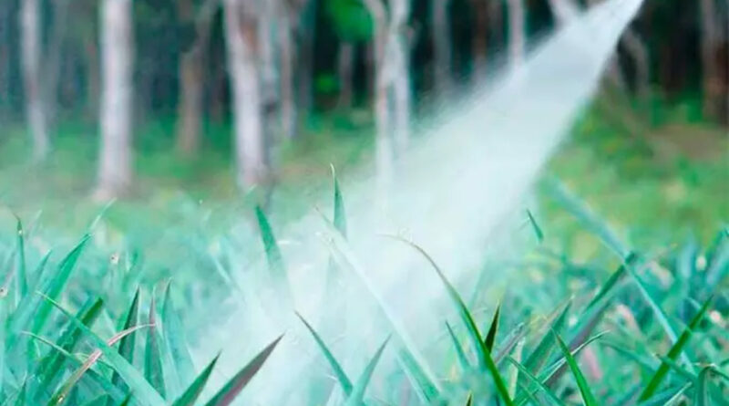 capina quimica Easy Resize.com