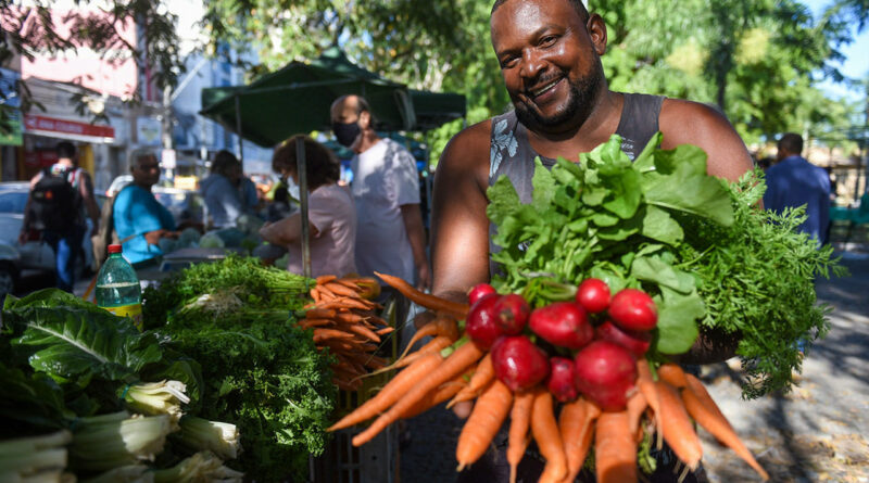 with 211619 Easy Resize.com