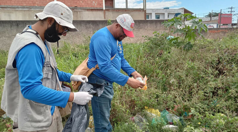 ccz Easy Resize.com 1