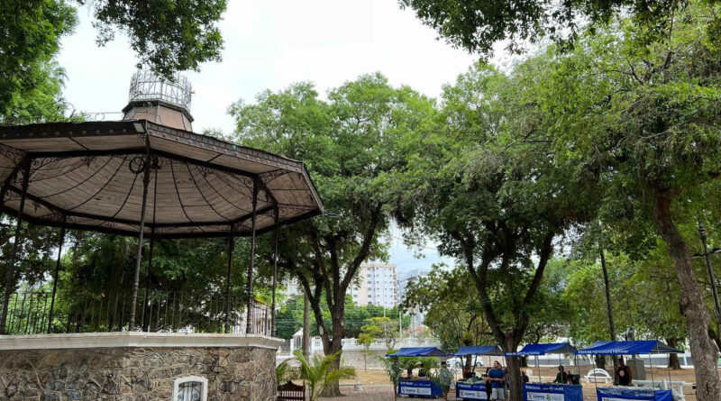 praca liceu Easy Resize.com