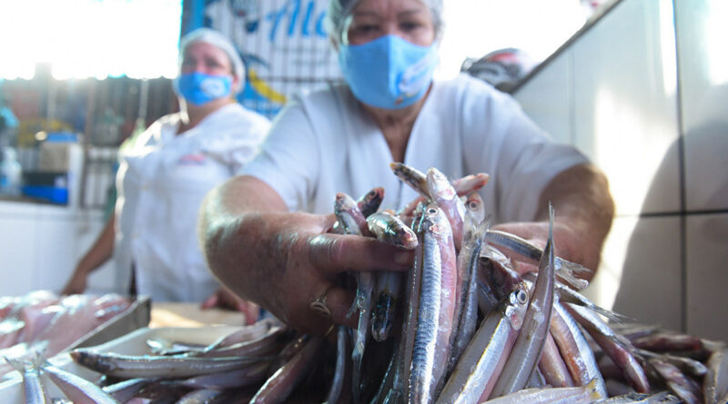 with 212328 Easy Resize.com