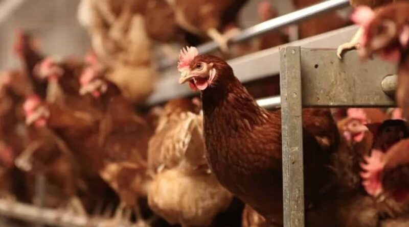 16842629676463d0373d762 1684262967 3x2 md Easy Resize.com