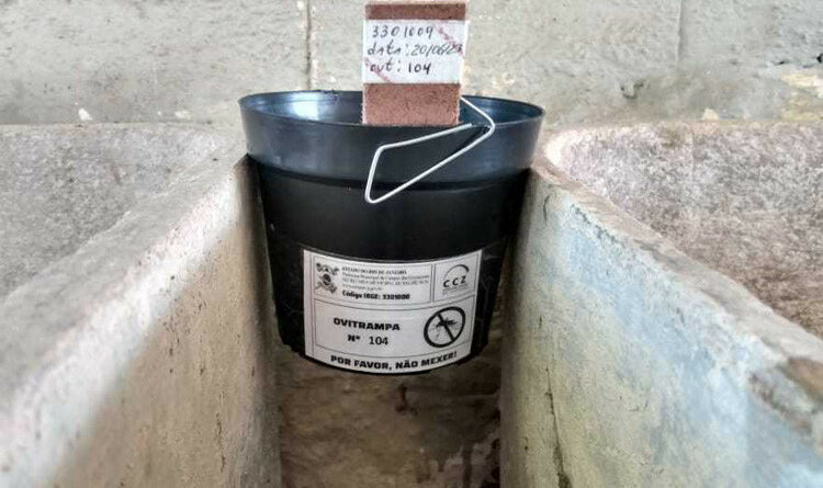 WhatsApp Image 2023 06 22 at 11.58.39