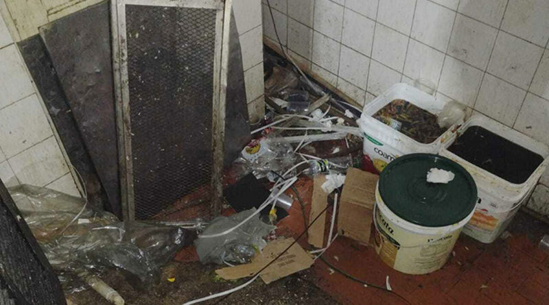 with 215356 Easy Resize.com