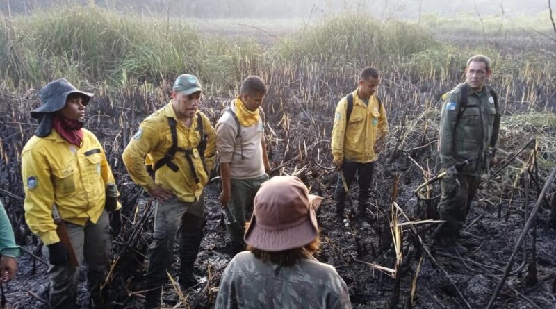 WhatsApp Image 2023 07 17 at 12.11.16