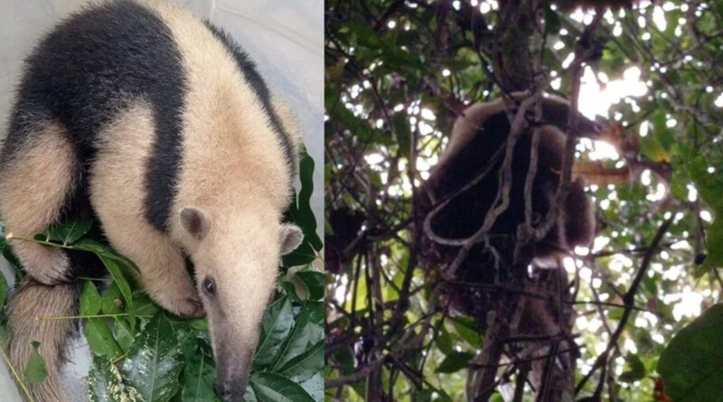 be558df57ee1bb0ff5368c31d4836afc XL Easy Resize.com